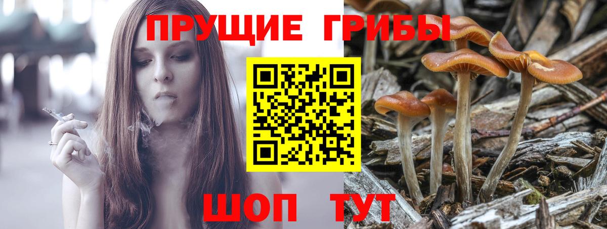 купить закладку  Псилоцибиновые грибы Cubensis  Вход с VPN  Химки 